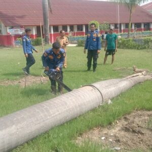 Damkar Karawang Pangkas Pohon Rawan Tumbang di Batujaya