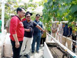 Pj Bupati dan Petani Modern Tanda Tangani Visi Anggur Jadi Buah Khas Kabupaten Bekasi